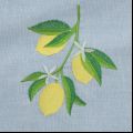 Zoom broderie motif Citron